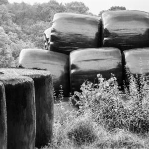 Silage Bales